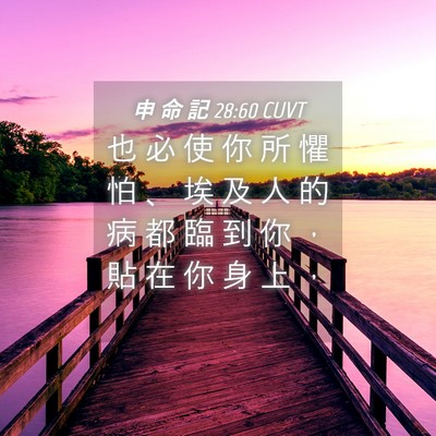 Picture 04 - 申 命 記 28:60 CUVT - 也 必 使 你 所 懼 怕 、 埃 及 人 的 - Bible Verse Picture