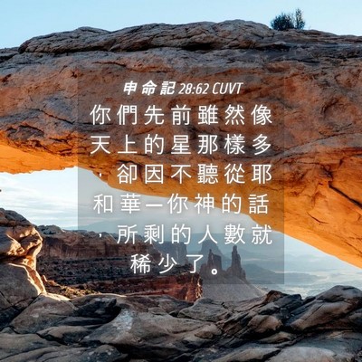 Picture 04 - 申 命 記 28:62 CUVT - 你 們 先 前 雖 然 像 天 上 的 星 那 - Bible Verse Picture