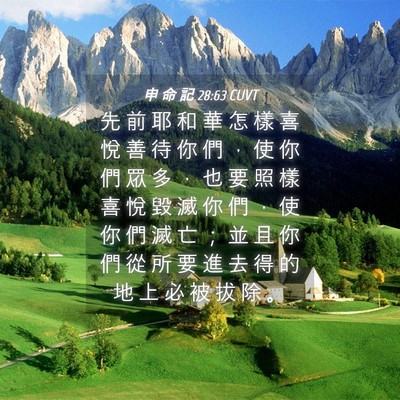 Picture 04 - 申 命 記 28:63 CUVT - 先 前 耶 和 華 怎 樣 喜 悅 善 待 你 - Bible Verse Picture