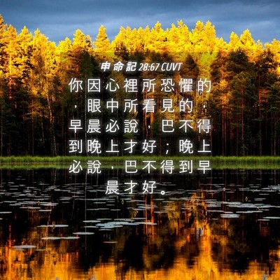 Picture 04 - 申 命 記 28:67 CUVT - 你 因 心 裡 所 恐 懼 的 ， 眼 中 所 - Bible Verse Picture