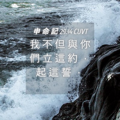 Picture 04 - 申 命 記 29:14 CUVT - 我 不 但 與 你 們 立 這 約 ， 起 這 - Bible Verse Picture