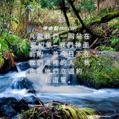 Picture 04 - 申 命 記 29:15 CUVT - 凡 與 我 們 一 同 站 在 耶 和 華 ─ - Bible Verse Picture
