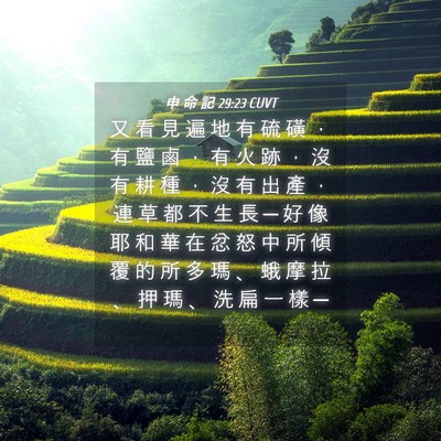 Picture 04 - 申 命 記 29:23 CUVT - 又 看 見 遍 地 有 硫 磺 ， 有 鹽 鹵 - Bible Verse Picture