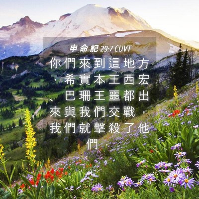Picture 04 - 申 命 記 29:7 CUVT - 你 們 來 到 這 地 方 ， 希 實 本 王 - Bible Verse Picture