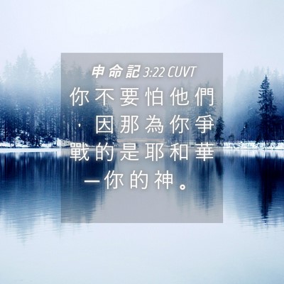 Picture 04 - 申 命 記 3:22 CUVT - 你 不 要 怕 他 們 ， 因 那 為 你 爭 - Bible Verse Picture