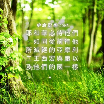 Picture 04 - 申 命 記 31:4 CUVT - 耶 和 華 必 待 他 們 ， 如 同 從 前 - Bible Verse Picture