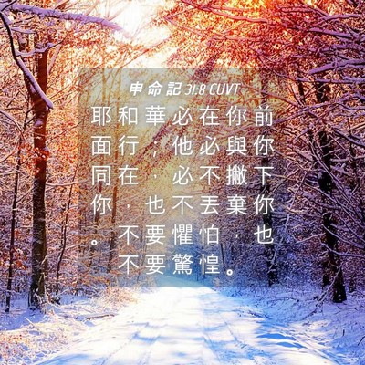 Picture 04 - 申 命 記 31:8 CUVT - 耶 和 華 必 在 你 前 面 行 ； 他 必 - Bible Verse Picture