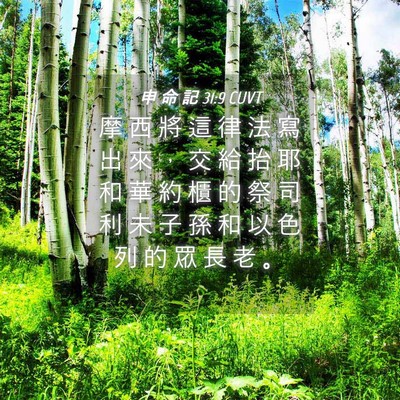 Picture 04 - 申 命 記 31:9 CUVT - 摩 西 將 這 律 法 寫 出 來 ， 交 給 - Bible Verse Picture
