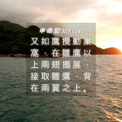 Picture 04 - 申 命 記 32:11 CUVT - 又 如 鷹 攪 動 巢 窩 ， 在 雛 鷹 以 - Bible Verse Picture
