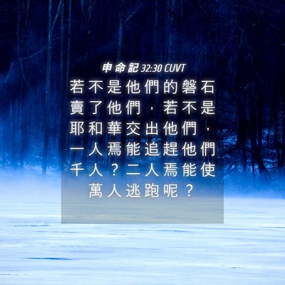 Picture 04 - 申 命 記 32:30 CUVT - 若 不 是 他 們 的 磐 石 賣 了 他 們 - Bible Verse Picture