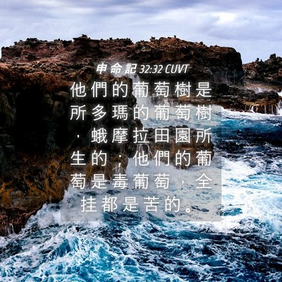 Picture 04 - 申 命 記 32:32 CUVT - 他 們 的 葡 萄 樹 是 所 多 瑪 的 葡 - Bible Verse Picture