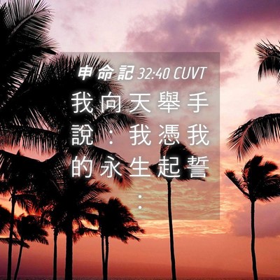 Picture 04 - 申 命 記 32:40 CUVT - 我 向 天 舉 手 說 ： 我 憑 我 的 永 - Bible Verse Picture