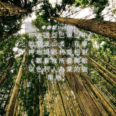 Picture 04 - 申 命 記 32:49 CUVT - 你 上 這 亞 巴 琳 山 中 的 尼 波 山 - Bible Verse Picture