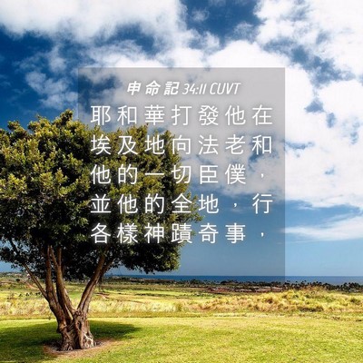Picture 04 - 申 命 記 34:11 CUVT - 耶 和 華 打 發 他 在 埃 及 地 向 法 - Bible Verse Picture