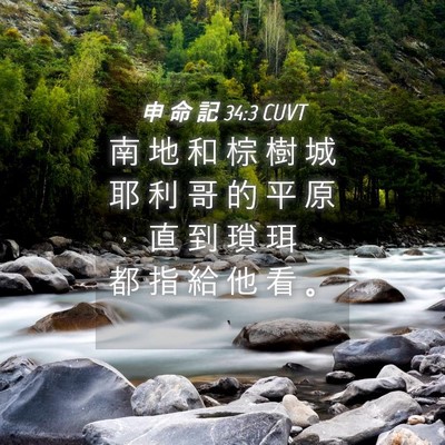 Picture 04 - 申 命 記 34:3 CUVT - 南 地 和 棕 樹 城 耶 利 哥 的 平 原 - Bible Verse Picture