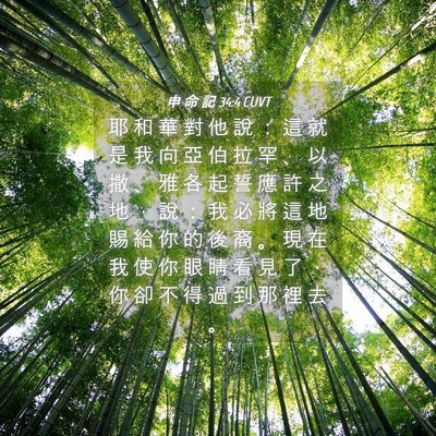 Picture 04 - 申 命 記 34:4 CUVT - 耶 和 華 對 他 說 ： 這 就 是 我 向 - Bible Verse Picture