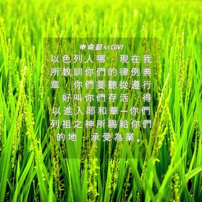 Picture 04 - 申 命 記 4:1 CUVT - 以 色 列 人 哪 ， 現 在 我 所 教 訓 - Bible Verse Picture