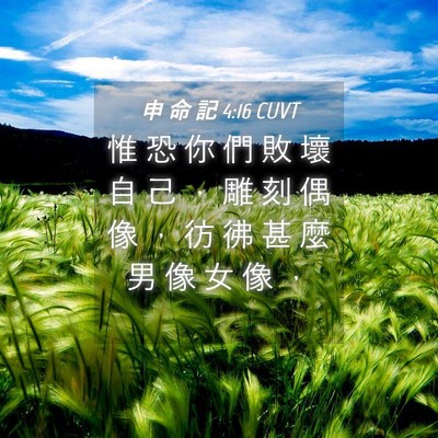 Picture 04 - 申 命 記 4:16 CUVT - 惟 恐 你 們 敗 壞 自 己 ， 雕 刻 偶 - Bible Verse Picture