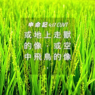 Picture 04 - 申 命 記 4:17 CUVT - 或 地 上 走 獸 的 像 ， 或 空 中 飛 - Bible Verse Picture