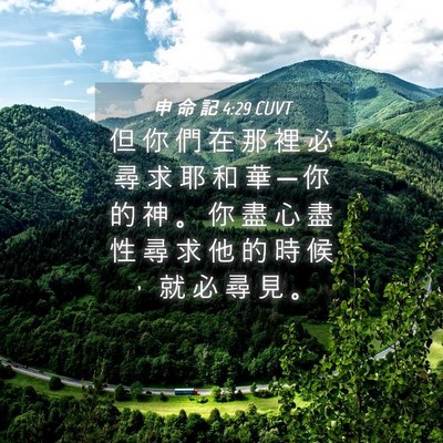 Picture 04 - 申 命 記 4:29 CUVT - 但 你 們 在 那 裡 必 尋 求 耶 和 華 - Bible Verse Picture