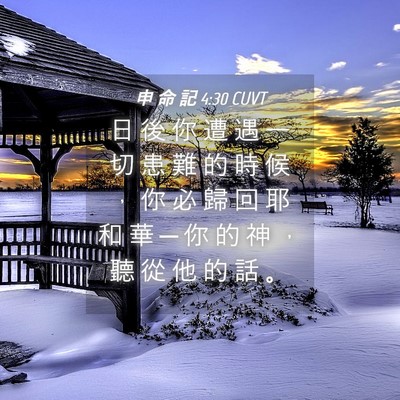 Picture 04 - 申 命 記 4:30 CUVT - 日 後 你 遭 遇 一 切 患 難 的 時 候 - Bible Verse Picture
