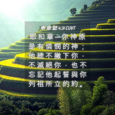 Picture 04 - 申 命 記 4:31 CUVT - 耶 和 華 ─ 你 神 原 是 有 憐 憫 的 - Bible Verse Picture