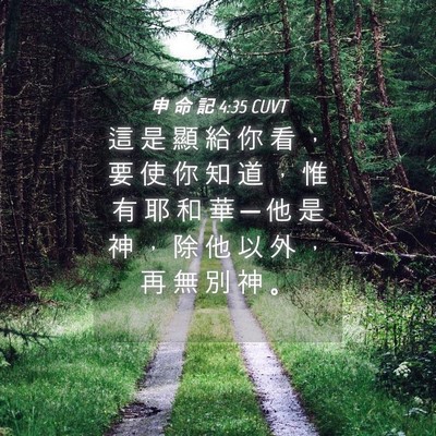Picture 04 - 申 命 記 4:35 CUVT - 這 是 顯 給 你 看 ， 要 使 你 知 道 - Bible Verse Picture