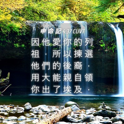 Picture 04 - 申 命 記 4:37 CUVT - 因 他 愛 你 的 列 祖 ， 所 以 揀 選 - Bible Verse Picture