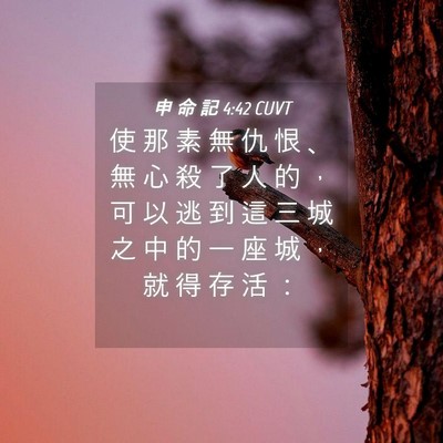 Picture 04 - 申 命 記 4:42 CUVT - 使 那 素 無 仇 恨 、 無 心 殺 了 人 - Bible Verse Picture