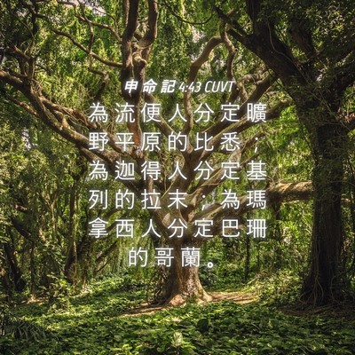 Picture 04 - 申 命 記 4:43 CUVT - 為 流 便 人 分 定 曠 野 平 原 的 比 - Bible Verse Picture