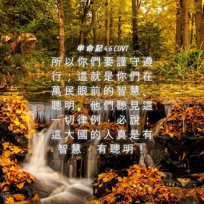 Picture 04 - 申 命 記 4:6 CUVT - 所 以 你 們 要 謹 守 遵 行 ； 這 就 - Bible Verse Picture