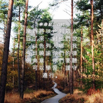 Picture 04 - 申 命 記 5:1 CUVT - 摩 西 將 以 色 列 眾 人 召 了 來 ， - Bible Verse Picture