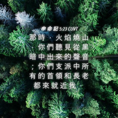 Picture 04 - 申 命 記 5:23 CUVT - 那 時 ， 火 焰 燒 山 ， 你 們 聽 見 - Bible Verse Picture