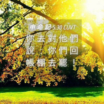Picture 04 - 申 命 記 5:30 CUVT - 你 去 對 他 們 說 ： 你 們 回 帳 棚 - Bible Verse Picture