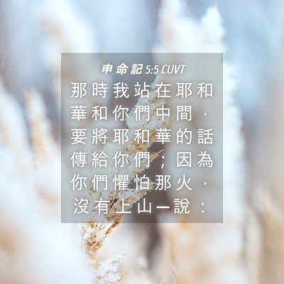 Picture 04 - 申 命 記 5:5 CUVT - 那 時 我 站 在 耶 和 華 和 你 們 中 - Bible Verse Picture