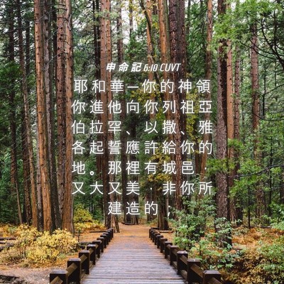Picture 04 - 申 命 記 6:10 CUVT - 耶 和 華 ─ 你 的 神 領 你 進 他 向 - Bible Verse Picture