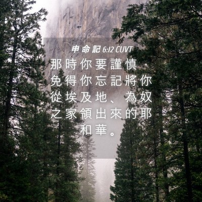 Picture 04 - 申 命 記 6:12 CUVT - 那 時 你 要 謹 慎 ， 免 得 你 忘 記 - Bible Verse Picture