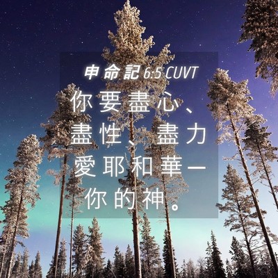Picture 04 - 申 命 記 6:5 CUVT - 你 要 盡 心 、 盡 性 、 盡 力 愛 耶 - Bible Verse Picture