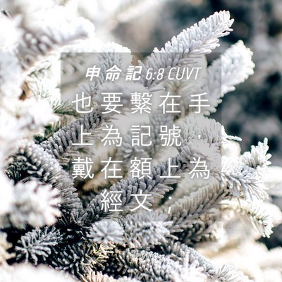 Picture 04 - 申 命 記 6:8 CUVT - 也 要 繫 在 手 上 為 記 號 ， 戴 在 - Bible Verse Picture