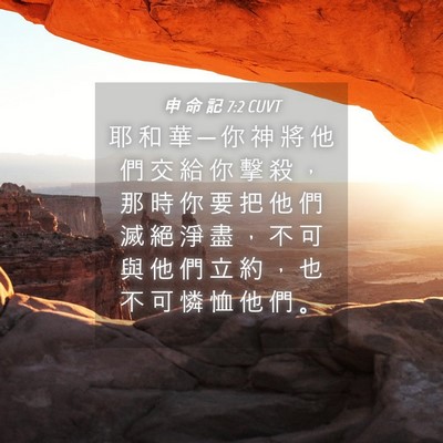 Picture 04 - 申 命 記 7:2 CUVT - 耶 和 華 ─ 你 神 將 他 們 交 給 你 - Bible Verse Picture