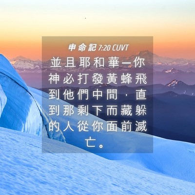 Picture 04 - 申 命 記 7:20 CUVT - 並 且 耶 和 華 ─ 你 神 必 打 發 黃 - Bible Verse Picture