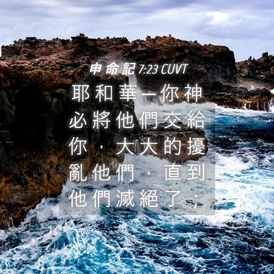 Picture 04 - 申 命 記 7:23 CUVT - 耶 和 華 ─ 你 神 必 將 他 們 交 給 - Bible Verse Picture