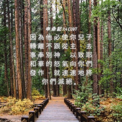Picture 04 - 申 命 記 7:4 CUVT - 因 為 他 必 使 你 兒 子 轉 離 不 跟 - Bible Verse Picture