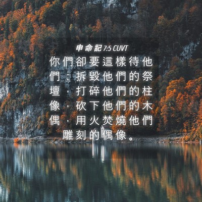Picture 04 - 申 命 記 7:5 CUVT - 你 們 卻 要 這 樣 待 他 們 ： 拆 毀 - Bible Verse Picture