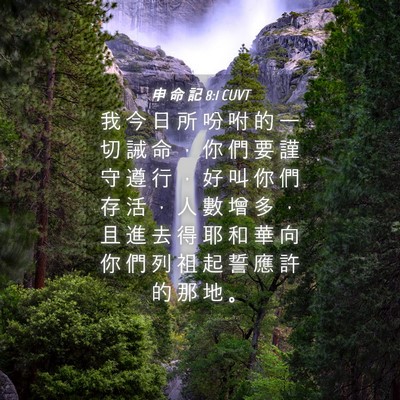 Picture 04 - 申 命 記 8:1 CUVT - 我 今 日 所 吩 咐 的 一 切 誡 命 ， - Bible Verse Picture