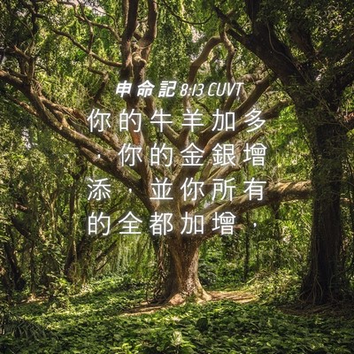 Picture 04 - 申 命 記 8:13 CUVT - 你 的 牛 羊 加 多 ， 你 的 金 銀 增 - Bible Verse Picture