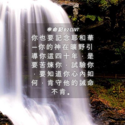 Picture 04 - 申 命 記 8:2 CUVT - 你 也 要 記 念 耶 和 華 ─ 你 的 神 - Bible Verse Picture