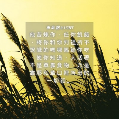 Picture 04 - 申 命 記 8:3 CUVT - 他 苦 煉 你 ， 任 你 飢 餓 ， 將 你 - Bible Verse Picture