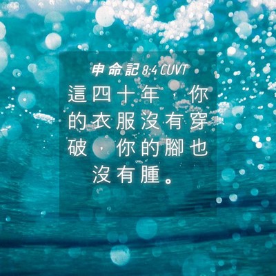 Picture 04 - 申 命 記 8:4 CUVT - 這 四 十 年 ， 你 的 衣 服 沒 有 穿 - Bible Verse Picture