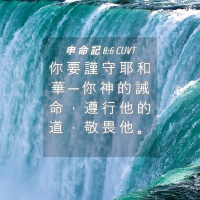 Picture 04 - 申 命 記 8:6 CUVT - 你 要 謹 守 耶 和 華 ─ 你 神 的 誡 - Bible Verse Picture